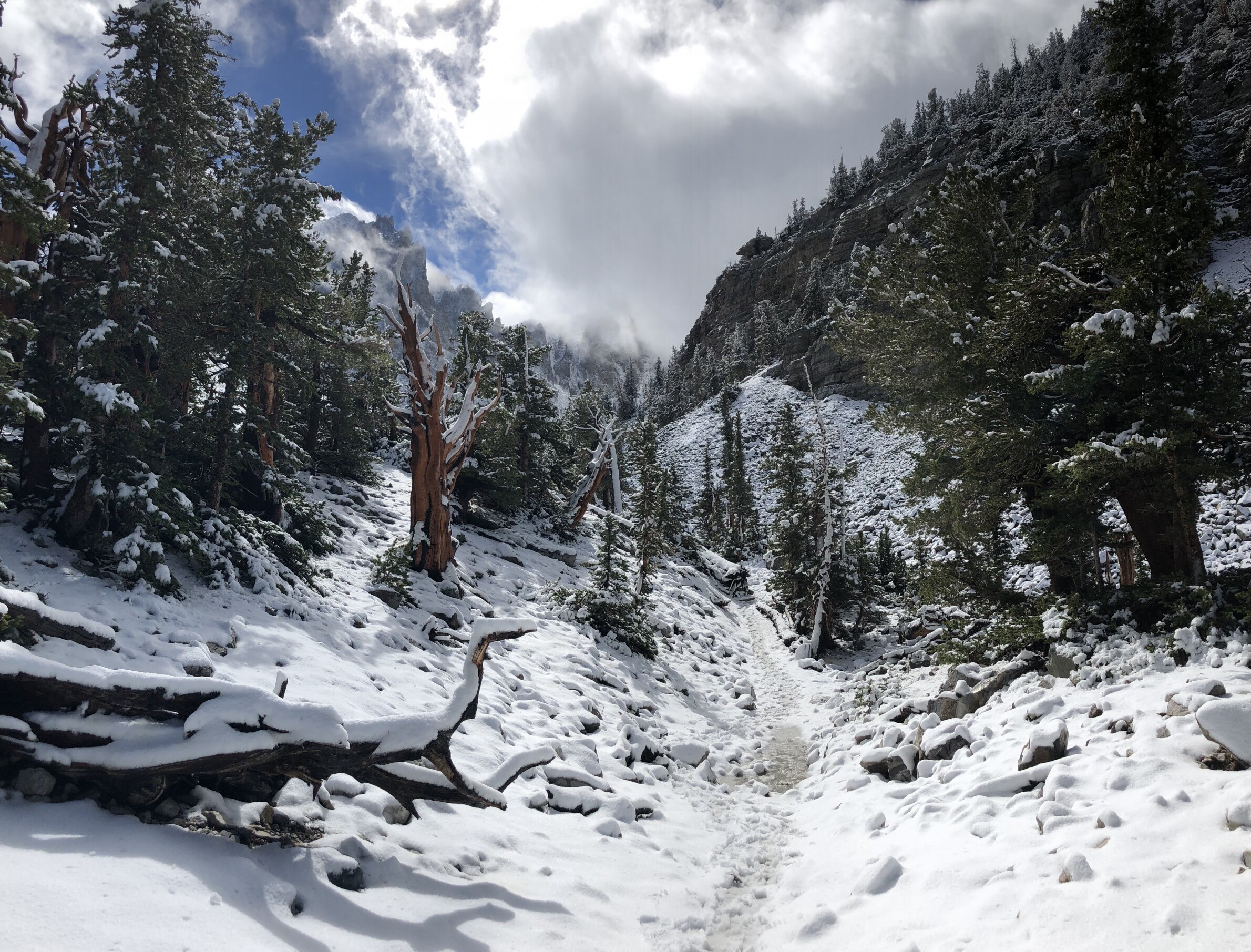 Snowpack At 142 After Week Of Storms In Upper Colorado River Basin   Jenny Hamilton IMG 4049 Scaled E1603321488530 